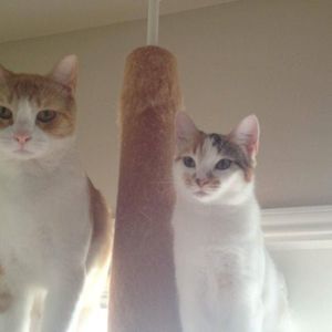 Meet your Posher, Alexis